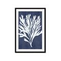 Picture of Navy Coral II  _GroupedProduct_Rectangle_Portrait_Framed_Matted_