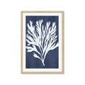 Picture of Navy Coral II  _GroupedProduct_Rectangle_Portrait_Framed_Matted_