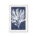 Picture of Navy Coral II  _GroupedProduct_Rectangle_Portrait_Framed_Matted_