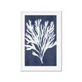Picture of Navy Coral II  _GroupedProduct_Rectangle_Portrait_Framed_Matted_
