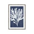 Picture of Navy Coral II  _GroupedProduct_Rectangle_Portrait_Framed_Matted_