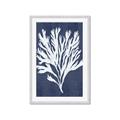 Picture of Navy Coral II  _GroupedProduct_Rectangle_Portrait_Framed_Matted_