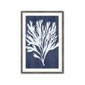 Picture of Navy Coral II  _GroupedProduct_Rectangle_Portrait_Framed_Matted_
