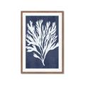 Picture of Navy Coral II  _GroupedProduct_Rectangle_Portrait_Framed_Matted_