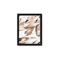 Picture of All the Shells  _GroupedProduct_Rectangle_Portrait_Photography _GroupedProduct_Rectangle_Portrait_Framed_Matted_