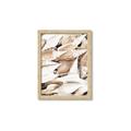 Picture of All the Shells  _GroupedProduct_Rectangle_Portrait_Photography _GroupedProduct_Rectangle_Portrait_Framed_Matted_