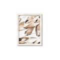 Picture of All the Shells  _GroupedProduct_Rectangle_Portrait_Photography _GroupedProduct_Rectangle_Portrait_Framed_Matted_