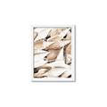 Picture of All the Shells  _GroupedProduct_Rectangle_Portrait_Photography _GroupedProduct_Rectangle_Portrait_Framed_Matted_