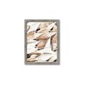 Picture of All the Shells  _GroupedProduct_Rectangle_Portrait_Photography _GroupedProduct_Rectangle_Portrait_Framed_Matted_