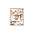 Picture of All the Shells  _GroupedProduct_Rectangle_Portrait_Photography _GroupedProduct_Rectangle_Portrait_Framed_Matted_