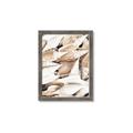 Picture of All the Shells  _GroupedProduct_Rectangle_Portrait_Photography _GroupedProduct_Rectangle_Portrait_Framed_Matted_