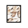 Picture of All the Shells  _GroupedProduct_Rectangle_Portrait_Photography _GroupedProduct_Rectangle_Portrait_Framed_Matted_