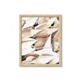 Picture of All the Shells  _GroupedProduct_Rectangle_Portrait_Photography _GroupedProduct_Rectangle_Portrait_Framed_Matted_