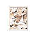 Picture of All the Shells  _GroupedProduct_Rectangle_Portrait_Photography _GroupedProduct_Rectangle_Portrait_Framed_Matted_