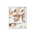Picture of All the Shells  _GroupedProduct_Rectangle_Portrait_Photography _GroupedProduct_Rectangle_Portrait_Framed_Matted_