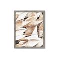 Picture of All the Shells  _GroupedProduct_Rectangle_Portrait_Photography _GroupedProduct_Rectangle_Portrait_Framed_Matted_