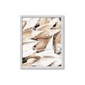 Picture of All the Shells  _GroupedProduct_Rectangle_Portrait_Photography _GroupedProduct_Rectangle_Portrait_Framed_Matted_