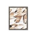 Picture of All the Shells  _GroupedProduct_Rectangle_Portrait_Photography _GroupedProduct_Rectangle_Portrait_Framed_Matted_