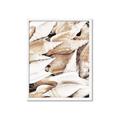 Picture of All the Shells  _GroupedProduct_Rectangle_Portrait_Photography _GroupedProduct_Rectangle_Portrait_Framed_Matted_
