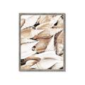 Picture of All the Shells  _GroupedProduct_Rectangle_Portrait_Photography _GroupedProduct_Rectangle_Portrait_Framed_Matted_