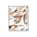 Picture of All the Shells  _GroupedProduct_Rectangle_Portrait_Photography _GroupedProduct_Rectangle_Portrait_Framed_Matted_