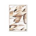 Picture of All the Shells  _GroupedProduct_Rectangle_Portrait_Photography _GroupedProduct_Rectangle_Portrait_Framed_Matted_