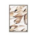 Picture of All the Shells  _GroupedProduct_Rectangle_Portrait_Photography _GroupedProduct_Rectangle_Portrait_Framed_Matted_