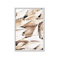 Picture of All the Shells  _GroupedProduct_Rectangle_Portrait_Photography _GroupedProduct_Rectangle_Portrait_Framed_Matted_