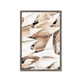 Picture of All the Shells  _GroupedProduct_Rectangle_Portrait_Photography _GroupedProduct_Rectangle_Portrait_Framed_Matted_