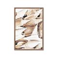 Picture of All the Shells  _GroupedProduct_Rectangle_Portrait_Photography _GroupedProduct_Rectangle_Portrait_Framed_Matted_