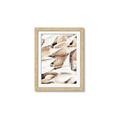 Picture of All the Shells  _GroupedProduct_Rectangle_Portrait_Photography _GroupedProduct_Rectangle_Portrait_Framed_Matted_