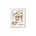 Picture of All the Shells  _GroupedProduct_Rectangle_Portrait_Photography _GroupedProduct_Rectangle_Portrait_Framed_Matted_