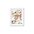 Picture of All the Shells  _GroupedProduct_Rectangle_Portrait_Photography _GroupedProduct_Rectangle_Portrait_Framed_Matted_