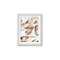 Picture of All the Shells  _GroupedProduct_Rectangle_Portrait_Photography _GroupedProduct_Rectangle_Portrait_Framed_Matted_