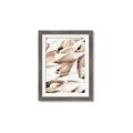 Picture of All the Shells  _GroupedProduct_Rectangle_Portrait_Photography _GroupedProduct_Rectangle_Portrait_Framed_Matted_