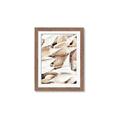 Picture of All the Shells  _GroupedProduct_Rectangle_Portrait_Photography _GroupedProduct_Rectangle_Portrait_Framed_Matted_