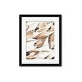 Picture of All the Shells  _GroupedProduct_Rectangle_Portrait_Photography _GroupedProduct_Rectangle_Portrait_Framed_Matted_