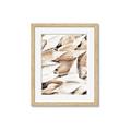 Picture of All the Shells  _GroupedProduct_Rectangle_Portrait_Photography _GroupedProduct_Rectangle_Portrait_Framed_Matted_