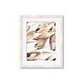 Picture of All the Shells  _GroupedProduct_Rectangle_Portrait_Photography _GroupedProduct_Rectangle_Portrait_Framed_Matted_