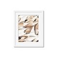 Picture of All the Shells  _GroupedProduct_Rectangle_Portrait_Photography _GroupedProduct_Rectangle_Portrait_Framed_Matted_