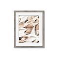 Picture of All the Shells  _GroupedProduct_Rectangle_Portrait_Photography _GroupedProduct_Rectangle_Portrait_Framed_Matted_
