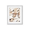 Picture of All the Shells  _GroupedProduct_Rectangle_Portrait_Photography _GroupedProduct_Rectangle_Portrait_Framed_Matted_