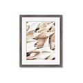 Picture of All the Shells  _GroupedProduct_Rectangle_Portrait_Photography _GroupedProduct_Rectangle_Portrait_Framed_Matted_