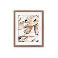 Picture of All the Shells  _GroupedProduct_Rectangle_Portrait_Photography _GroupedProduct_Rectangle_Portrait_Framed_Matted_