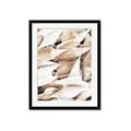 Picture of All the Shells  _GroupedProduct_Rectangle_Portrait_Photography _GroupedProduct_Rectangle_Portrait_Framed_Matted_