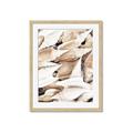 Picture of All the Shells  _GroupedProduct_Rectangle_Portrait_Photography _GroupedProduct_Rectangle_Portrait_Framed_Matted_