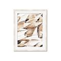 Picture of All the Shells  _GroupedProduct_Rectangle_Portrait_Photography _GroupedProduct_Rectangle_Portrait_Framed_Matted_