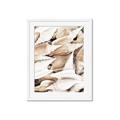 Picture of All the Shells  _GroupedProduct_Rectangle_Portrait_Photography _GroupedProduct_Rectangle_Portrait_Framed_Matted_