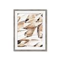 Picture of All the Shells  _GroupedProduct_Rectangle_Portrait_Photography _GroupedProduct_Rectangle_Portrait_Framed_Matted_