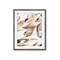 Picture of All the Shells  _GroupedProduct_Rectangle_Portrait_Photography _GroupedProduct_Rectangle_Portrait_Framed_Matted_